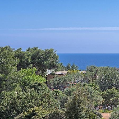 Apartments Irena Hvar Town Exterior foto